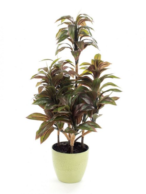 Image of Artificial 2ft Variegated Green And Burgundy Mini Dracaena Plant