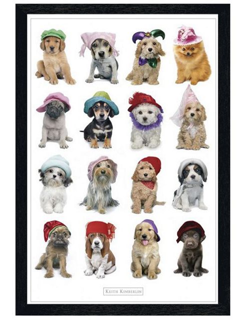 Image of Keith Kimberlin Black Wooden Framed Dogs In Hats Poster