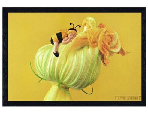 Image of Anne Geddes Black Wooden Framed Baby Bee Poster
