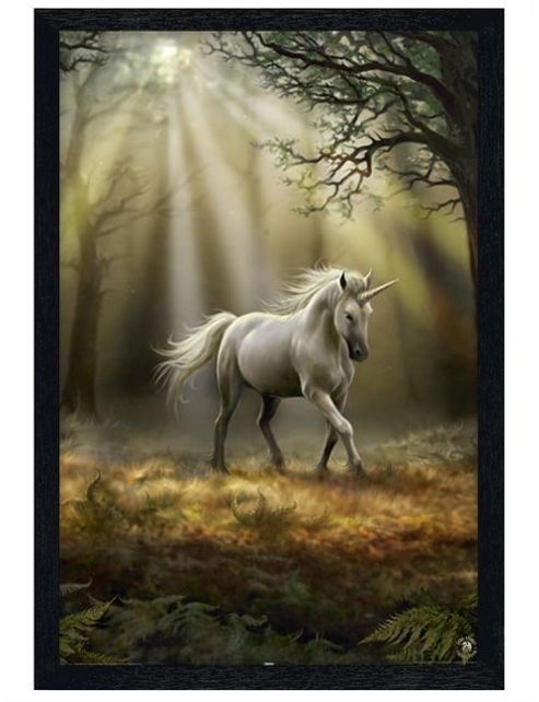 Image of Anne Stokes Black Wooden Framed Glimpse Of A Unicorn Poster