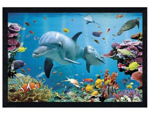 Image of Black Wooden Framed Tropical Dolphins Poster