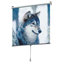 Draper Luma Manual Pull Down 84 x 84 inch AV Projection Screen - Matte White