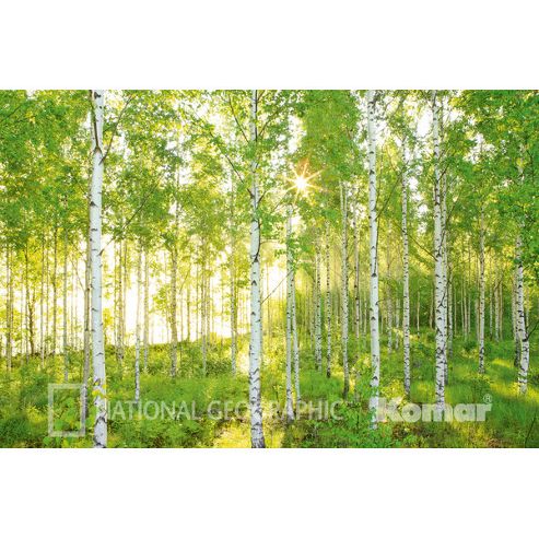 Image of Komar Sunday Wall Mural - 368 X 254 Cm