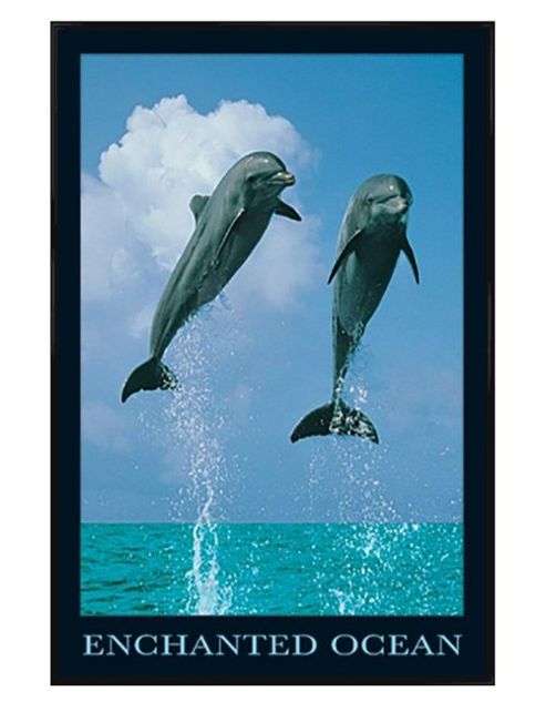 Image of Enchanted Ocean Gloss Black Framed Dolphins Jumping Poster