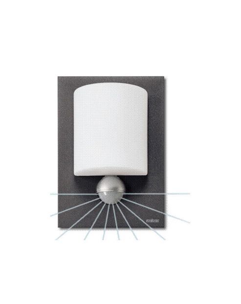 Image of Steinel L680 Led Sensor Light - Aluminium Anthracite
