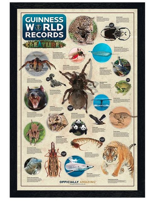 Image of Guinness Book Of World Records Black Wooden Framed Extraordinary Creatures Poster