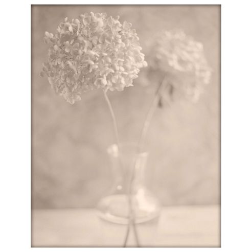 Image of Floral Framed Print 40x50cm