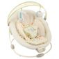 Bright Starts Sandstone Bouncer