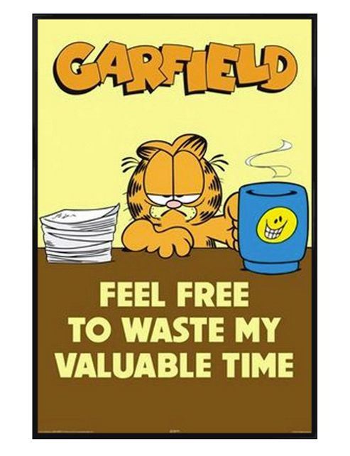 Image of Garfield Gloss Black Framed Feel Free To Waste My Valuable Time Poster