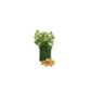 Haxnick Potato Patio Planter Set X3