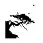 Asian Tree Wall Sticker, Black