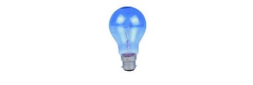 Image of 100w Bc Daylight