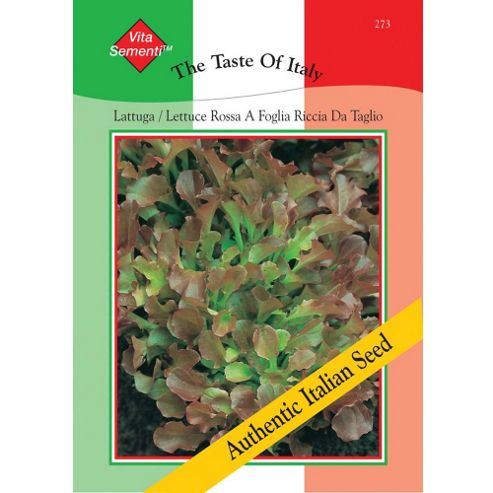 Image of Lettuce 'rossa A Foglia Riccia Da Tavolo' (loose-leaf) - Vita Sementi&reg; Italian Seeds - 1 Packet (7000 Lettuce Seeds)