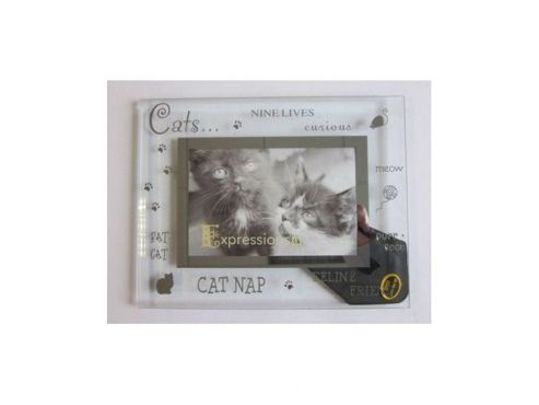 Image of Sixtrees Moments Bevelled Glass Cats Photo Frame