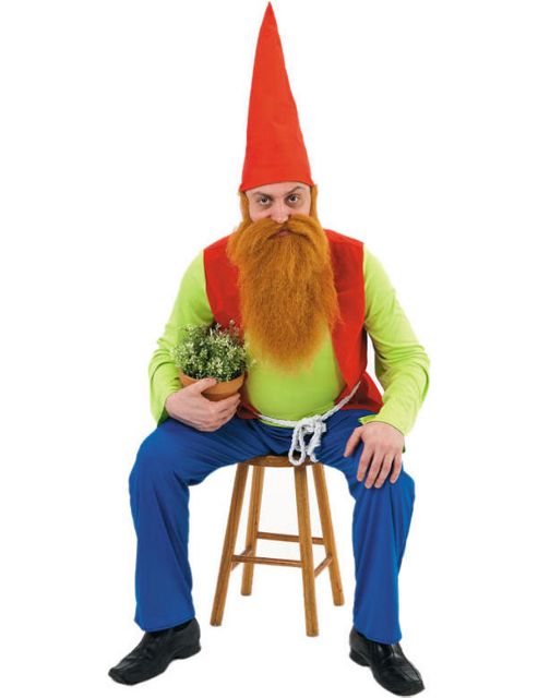 Image of Sneezy Gnome Costume