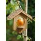 Apple / suet bird feeder