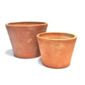 Kitchen garden terracotta pots
