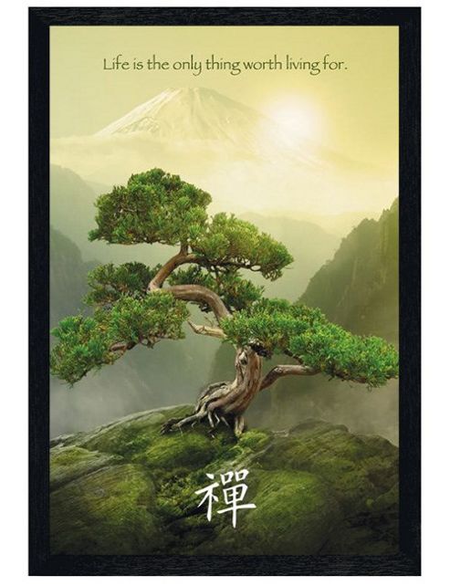 Image of Zen Mountain Top Black Wooden Framed Life Is The Only Thing Worth Living For Poster