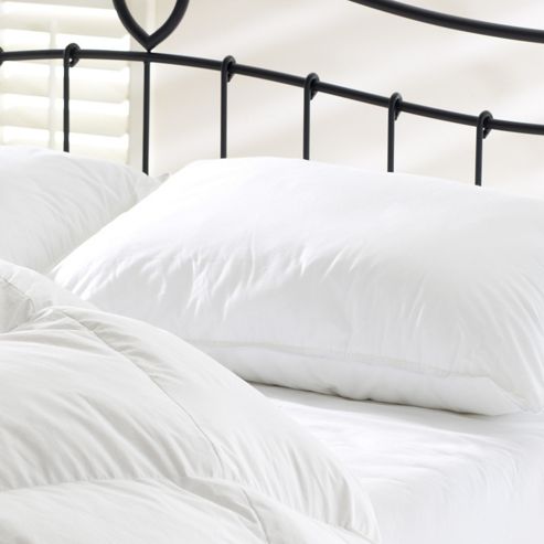 Image of Euroquilt Allerban Standard Pillow