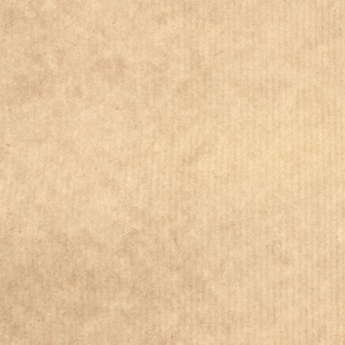 Image of Canson Kraft Paper Brown