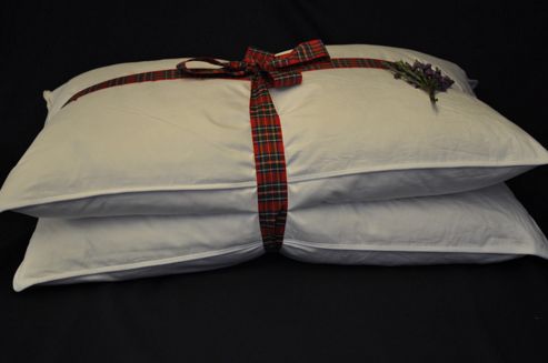 Image of Euroquilt European Duck Down Pillow