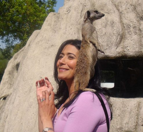 Image of Meet The Meerkats For Two