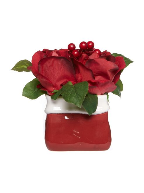 Image of Christmas Rose Arrangement Small