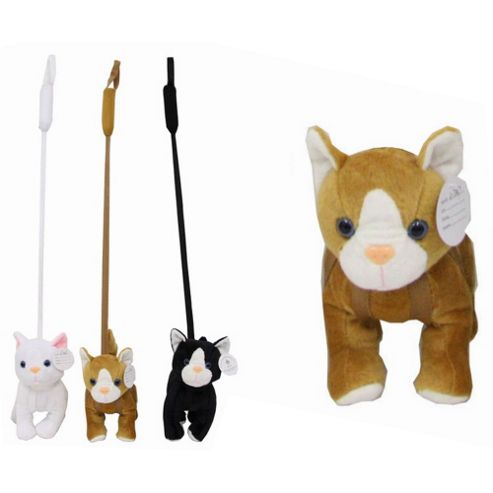 Image of Cat On A Lead