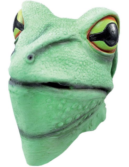 Image of Frog Mask. Rubber Overhead