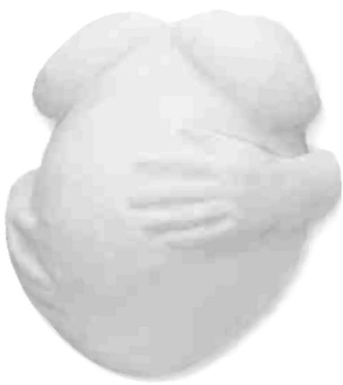 Image of Babyrice 'bellilicious' Pregnant Belly Casting Kit Gift