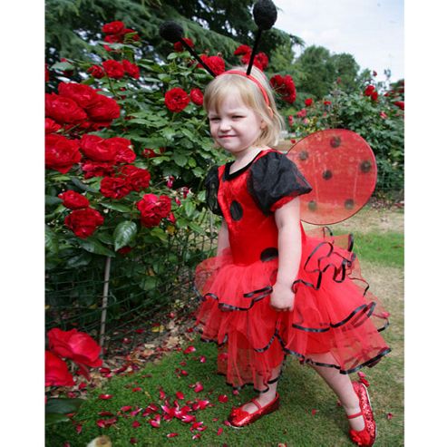 Image of Ladybird - Toddler Costume 1-2 Years