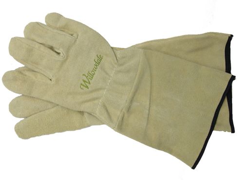 Image of Kent Glo06 Leather Gauntlet Pruning Glove Mens