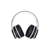 Fanny Wang 2000 Series Over Ear DJ Headphone with Remote (Black/White) (2 day lead)
