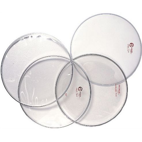 Image of Percussion Plus Pp812 10in Tom