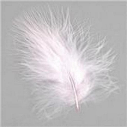 Image of Marabou Feathers Pale Pink