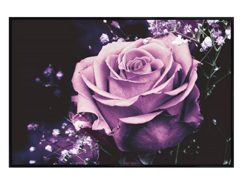 Image of Gloss Black Framed Lilac Rose Poster