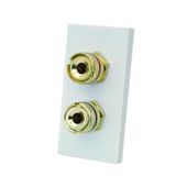 Audio 2 X RCA Mod Wh