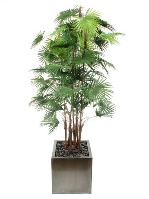 Image of Artificial 6ft Finger Palm Tree
