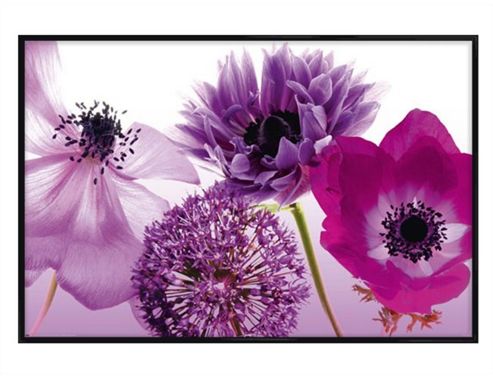 Image of Gloss Black Framed Purple Summer Poster