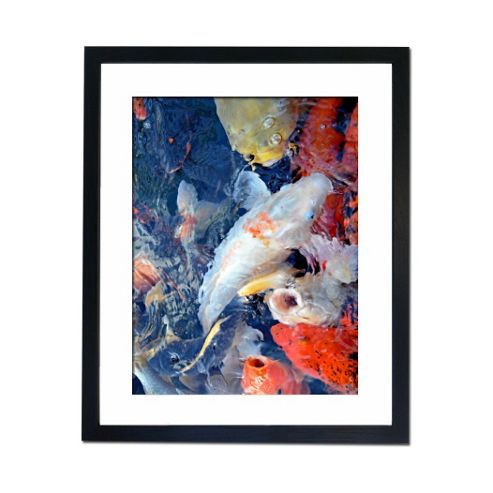 Image of Culture Decor Koi Carp Wall Art