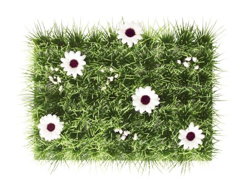 Image of Basil Grass Basket Liner Pannier Luggage Carrier Accessory