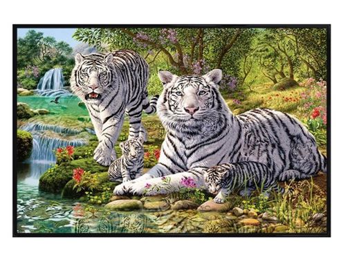 Image of Hidden Images Gloss Black Framed White Tiger Clan Poster
