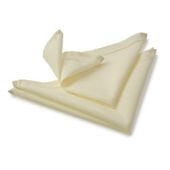 Blue Canyon Sienna Napkin - Cream