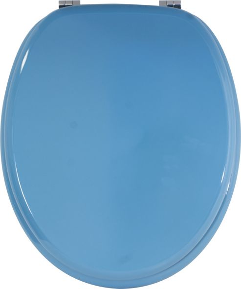Image of Sabichi Toilet Seat - Aqua