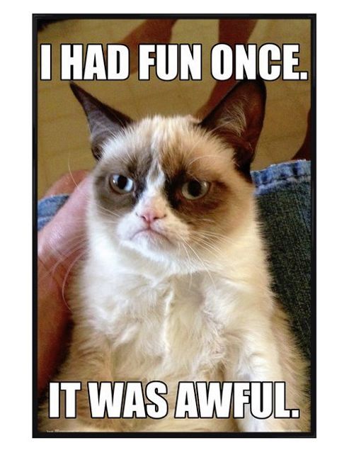 Image of Grumpy Cat Gloss Black Framed I Had Fun Once Poster