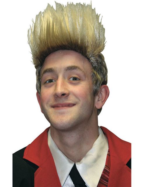 Image of Teen Pop Star Wig