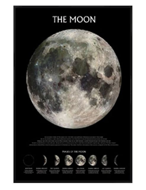 Image of The Moon Gloss Black Framed Phases Of The Moon Poster