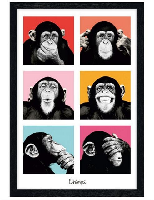 Image of The Chimp Black Wooden Framed Pop Art Chimps Poster