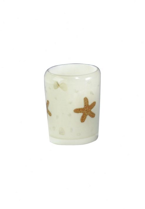 Image of Sanwood Shell Tumbler In Transparent