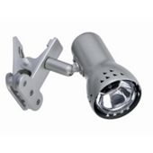 Paulmann Galeria and Assistant Gryps Wall Light